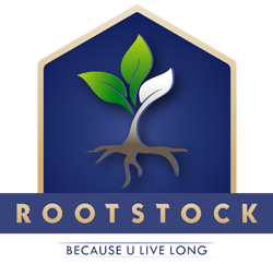 Rootstock