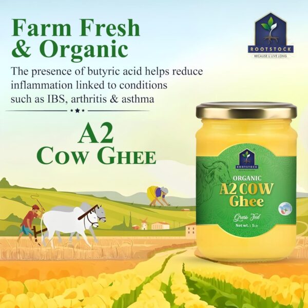 WhatsApp Image 2025-08-06 at 13.24.53 A2 Cow Ghee