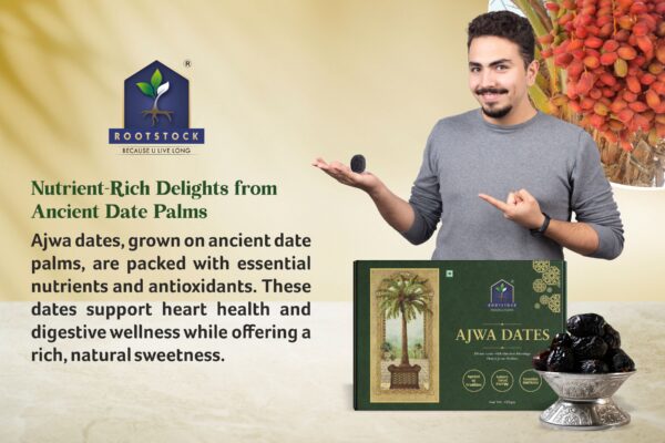 a Ajwa Dates