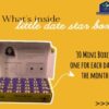 Little Dates Stars -30 days pack (660gm Ajwa dates)
