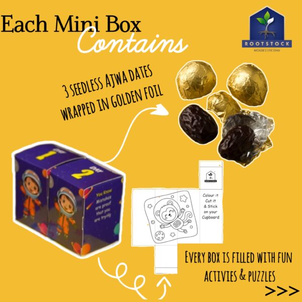 Little Dates Stars -30 days pack (660gm Ajwa dates)